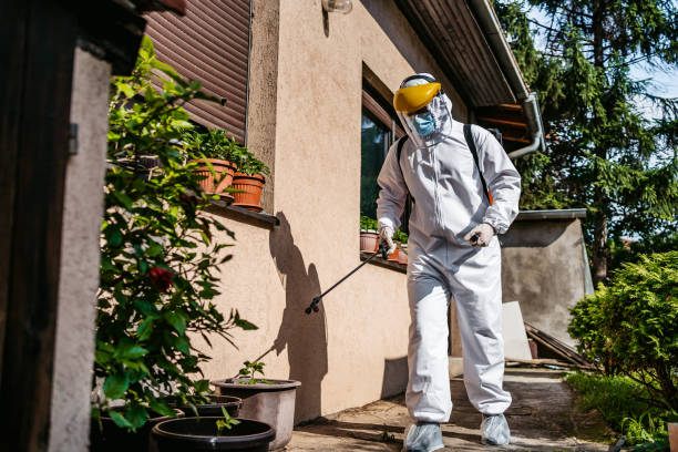 Best Flea Control Services  in Montrose, MN